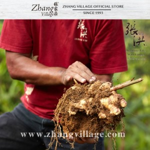 FIRST GRADE BENTONG HIGHLAND GINGER 高山文冬姜 500G